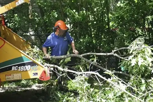 tree services Bennington